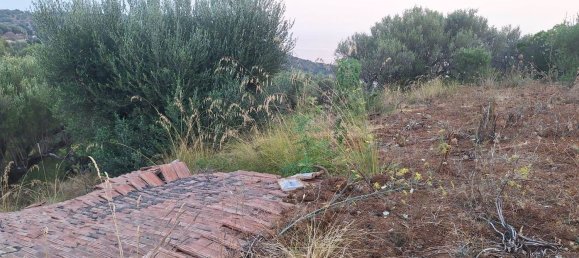 Land in Camerota, Italy No. 317247 17