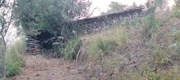 Land in Camerota, Italy No. 317247 15