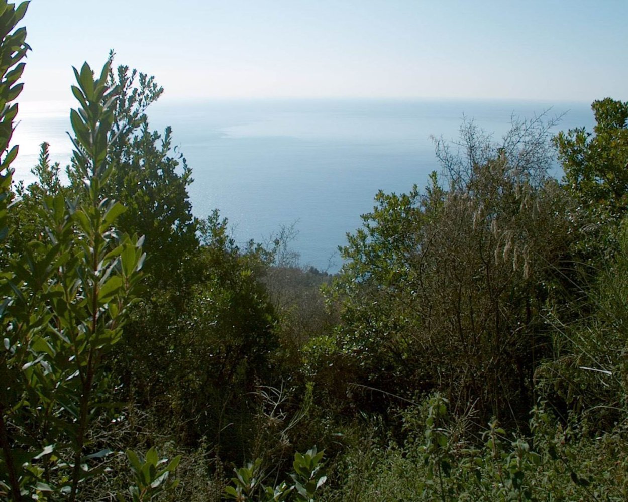  Land in Camerota, Italy No. 317247