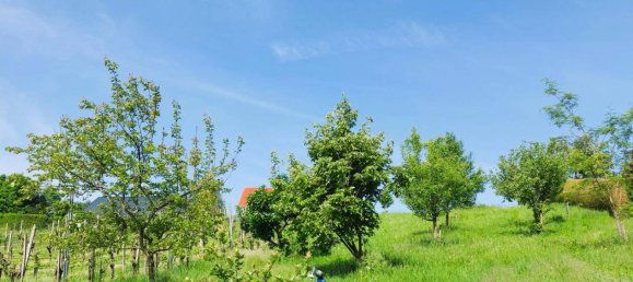 Grundstück in Straden, Austria, Nr. 162494 12
