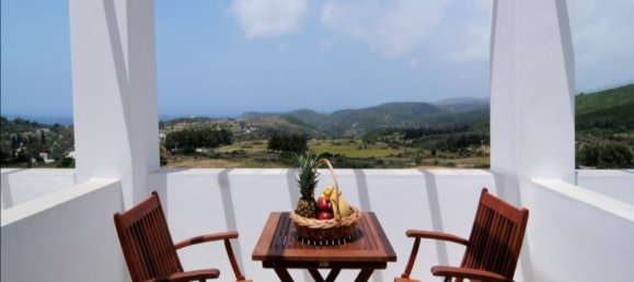 1000m² Townhouse in Laconia, Greece No. 4340 6