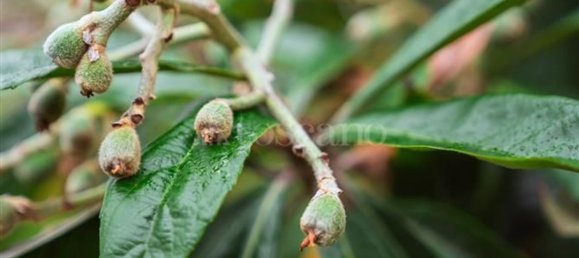 6-salle Villa à Catania, Italy No. 117058 17