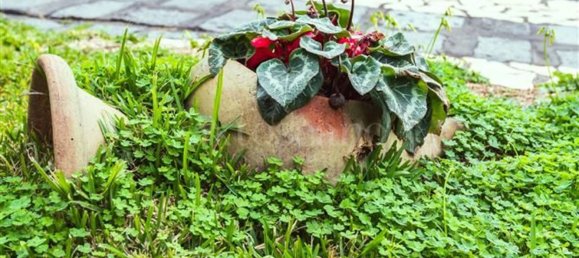 6-salle Villa à Catania, Italy No. 117058 18