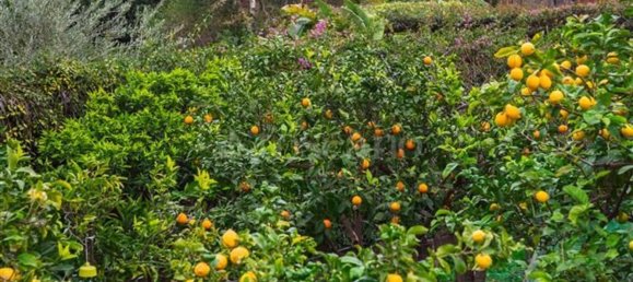 6-salle Villa à Catania, Italy No. 117058 13