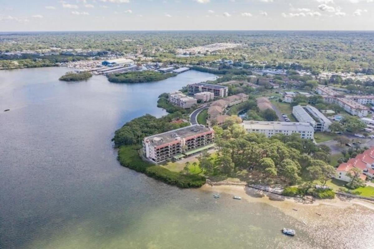 3 غرف نوم منزل في Dunedin, USA رقم 376627