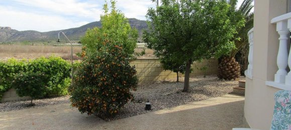 5 bedrooms Villa in La Romana, Spain No. 94583 10