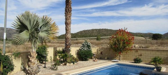 5 bedrooms Villa in La Romana, Spain No. 94583 15