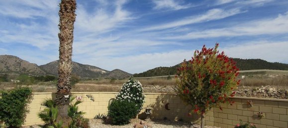 5 bedrooms Villa in La Romana, Spain No. 94583 13