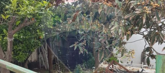 1 Schlafzimmer Haus in Setubal, Portugal, Nr. 163636 4