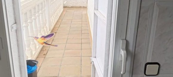 6 bedrooms House in Lloret de Mar, Spain No. 153717 10