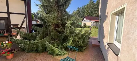 3 غرف نوم منزل في Harz, Germany رقم 350708 17