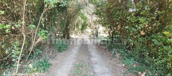 Grundstück in Alvignano, Italy 61000m², Nr. 295926 3