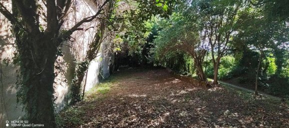 Grundstück in Alvignano, Italy 61000m², Nr. 295926 5