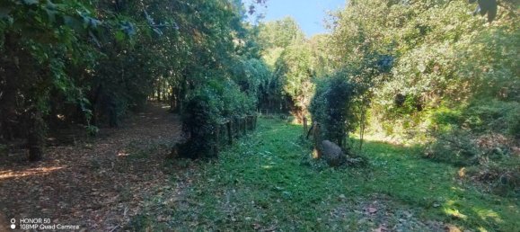 Grundstück in Alvignano, Italy 61000m², Nr. 295926 2