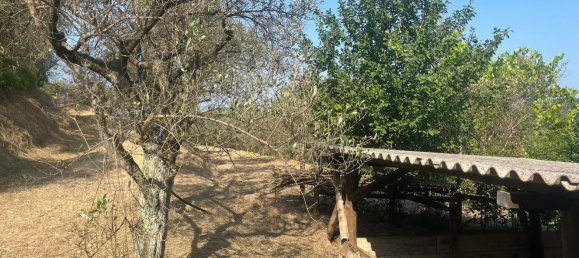  قطعة أرض في Castelnuovo Magra, Italy 20000متر مربع رقم 302803 7