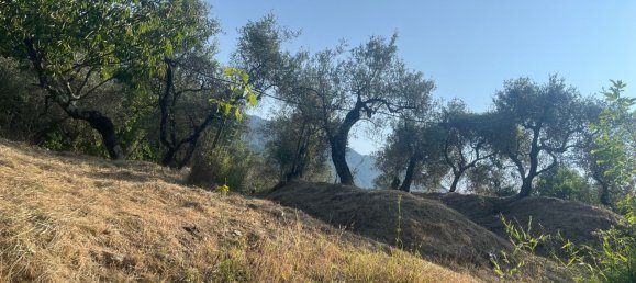  قطعة أرض في Castelnuovo Magra, Italy 20000متر مربع رقم 302803 8