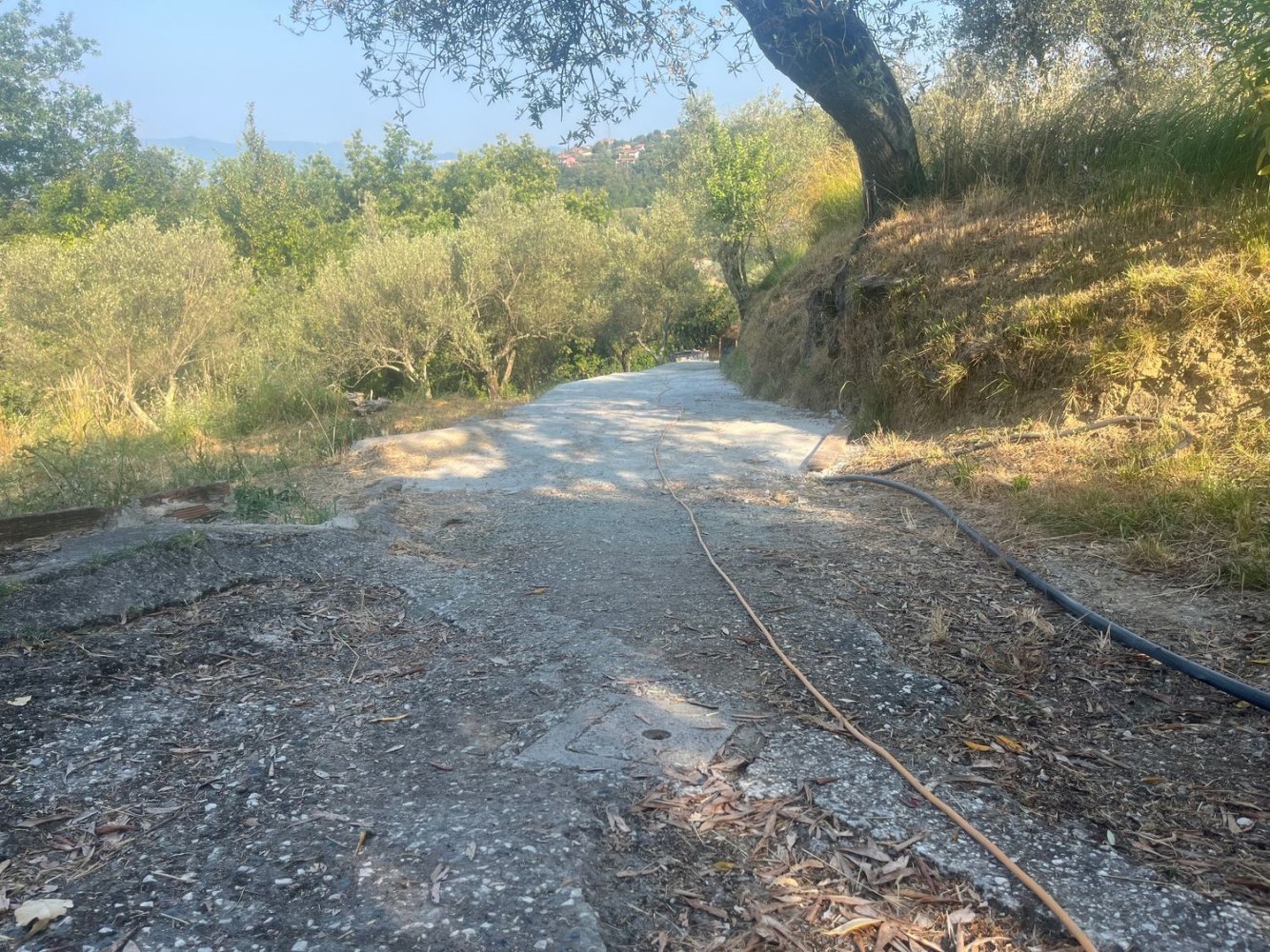  قطعة أرض في Castelnuovo Magra, Italy 20000متر مربع رقم 302803