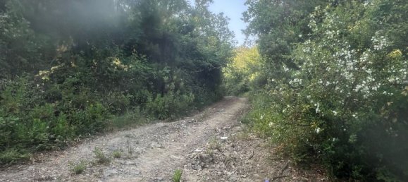  قطعة أرض في Castelnuovo Magra, Italy 20000متر مربع رقم 302803 9