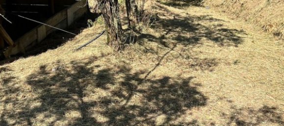  قطعة أرض في Castelnuovo Magra, Italy 20000متر مربع رقم 302803 16