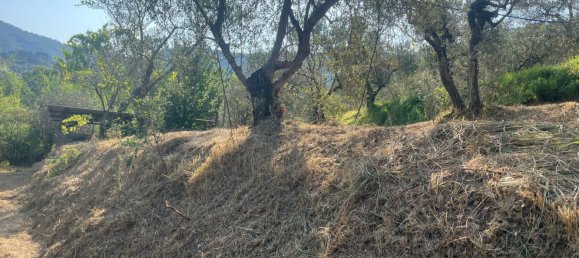  قطعة أرض في Castelnuovo Magra, Italy 20000متر مربع رقم 302803 13