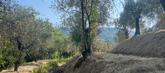  قطعة أرض في Castelnuovo Magra, Italy 20000متر مربع رقم 302803 14