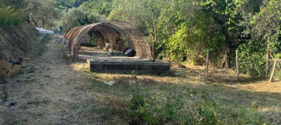  قطعة أرض في Castelnuovo Magra, Italy 20000متر مربع رقم 302803 11