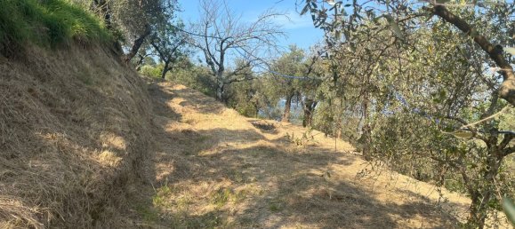  قطعة أرض في Castelnuovo Magra, Italy 20000متر مربع رقم 302803 12