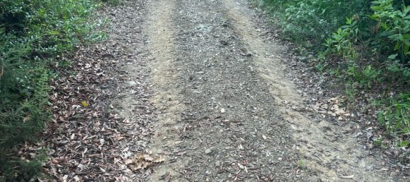  قطعة أرض في Castelnuovo Magra, Italy 20000متر مربع رقم 302803 3