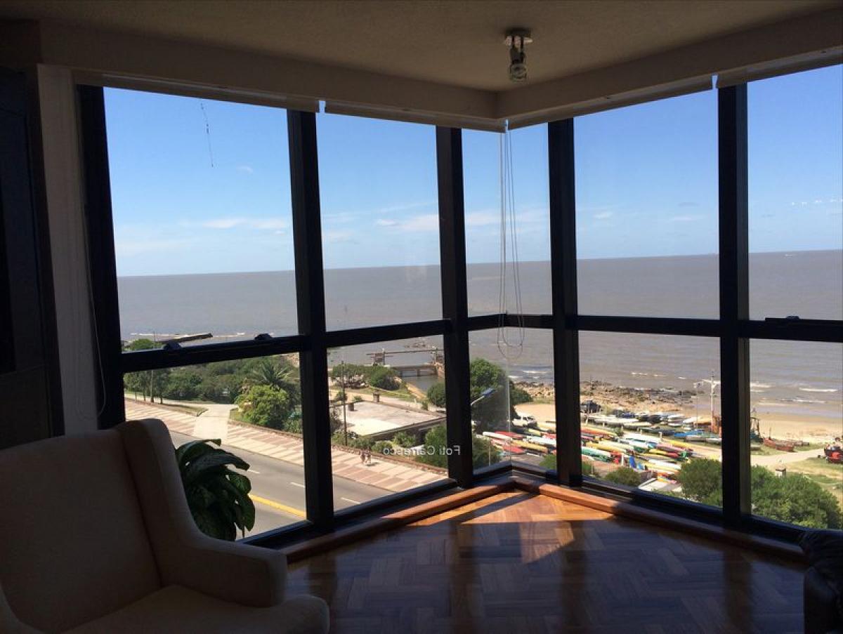 2 غرف نوم شقة في Montevideo, Uruguay رقم 11625