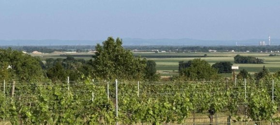 Terrain à Fels am Wagram, Austria No. 196104 2