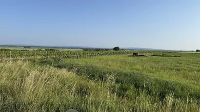 Terrain à Fels am Wagram, Austria No. 196104