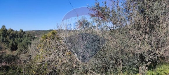 1 bedroom House in Sardoal, Portugal No. 185291 9