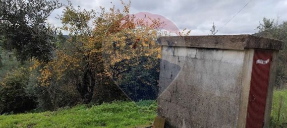 1 bedroom House in Sardoal, Portugal No. 185291 4