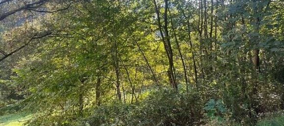  Land in Markischer, Germany No. 141572 11