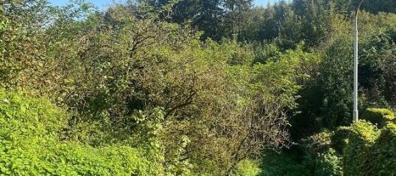  Land in Markischer, Germany No. 141572 7