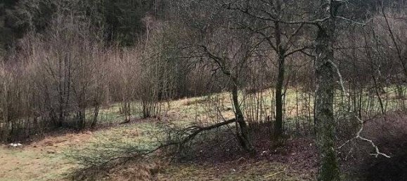  Land in Markischer, Germany No. 141572 9