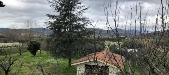 7 rooms Villa in San Giuliano Terme, Italy No. 161783 39