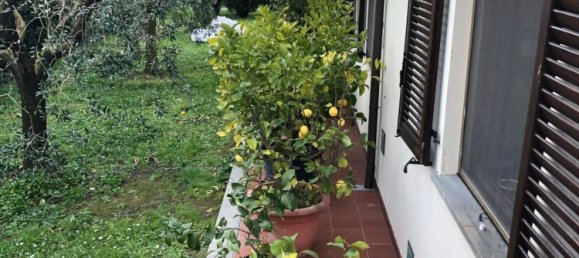 7 rooms Villa in San Giuliano Terme, Italy No. 161783 41