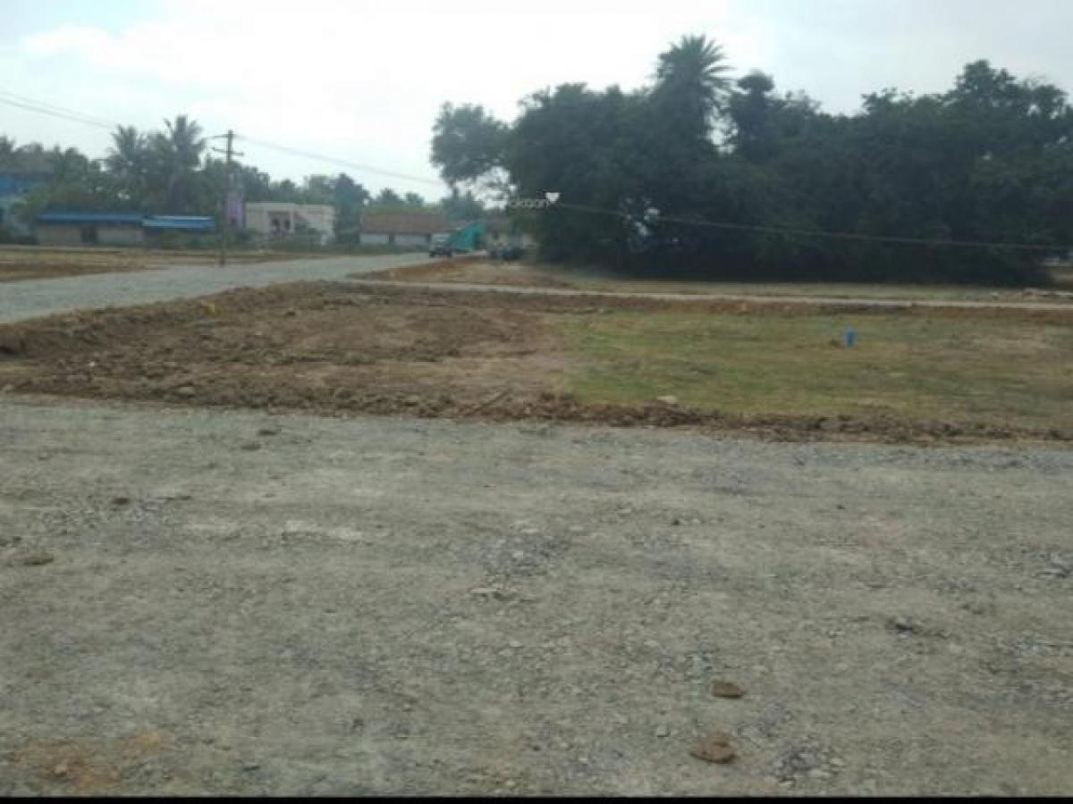 Studio in Chennai, India No. 11949