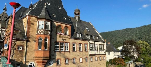 2 rooms Apartment in Bernkastel-Wittlich, Germany No. 152668 2