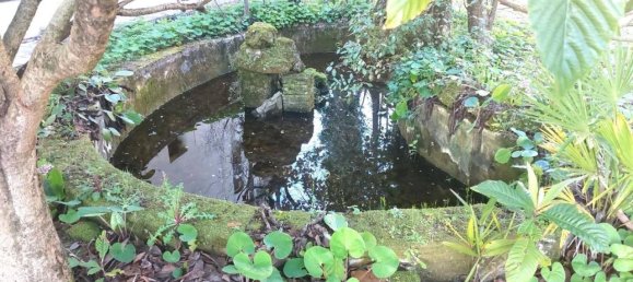 15 rooms Villa in Castelfranco Piandiscò, Italy No. 166225 9