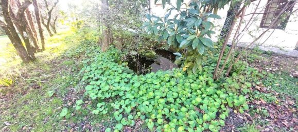 15 rooms Villa in Castelfranco Piandiscò, Italy No. 166225 11