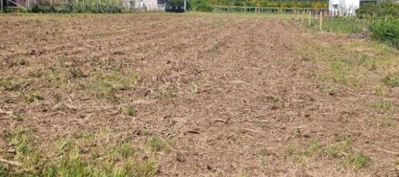 3173m² Land in Pontevedra, Spain No. 105720 8