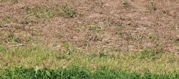 3173m² Land in Pontevedra, Spain No. 105720 2