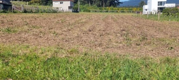 3173m² Land in Pontevedra, Spain No. 105720 5