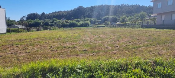 3173m² Land in Pontevedra, Spain No. 105720 13