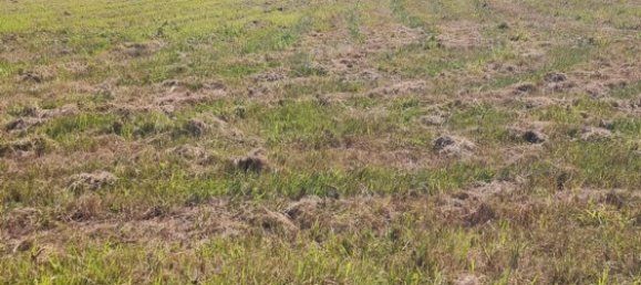 3173m² Land in Pontevedra, Spain No. 105720 11