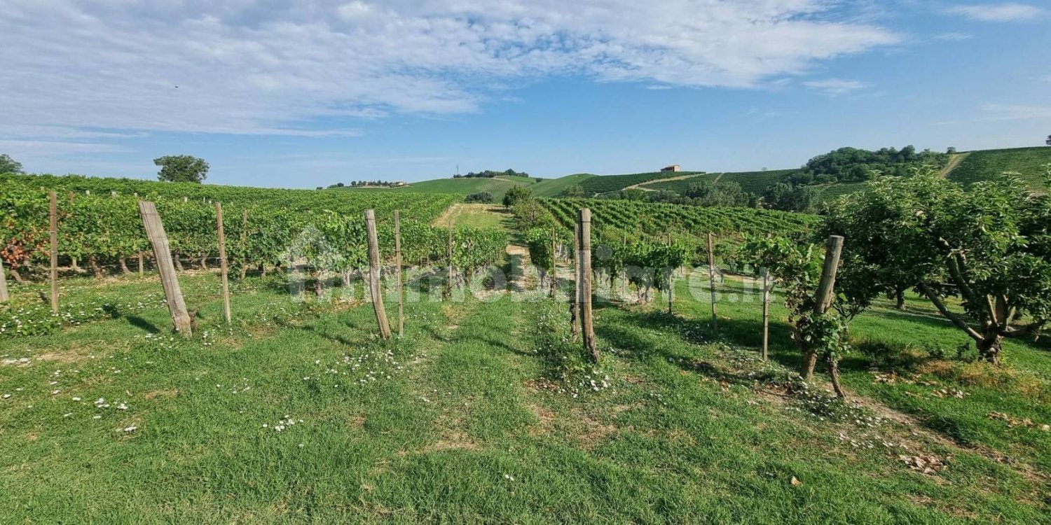 2 chambres Maison à Castelnuovo Calcea, Italy No. 294024