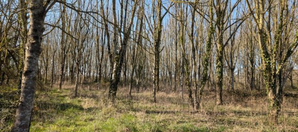 3 bedrooms House in Sarthe, France No. 285889 9