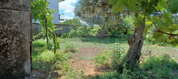 1 غرف نوم منزل في Fatela, Portugal رقم 31069 3